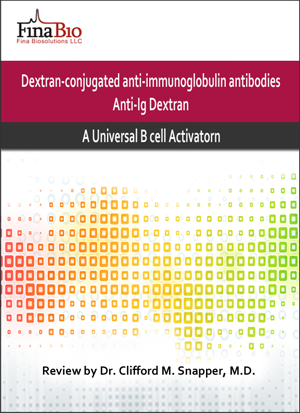 Review Of The Users Of Antibody-dextran Conjugates