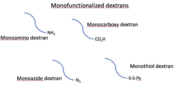 Monofunctionalized Dextrans