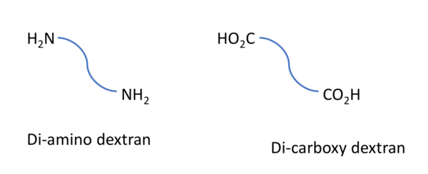 Di Amino & Di Carboxy Dextrans
