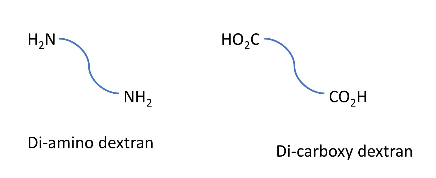 Di Amino & Di Carboxy Dextrans