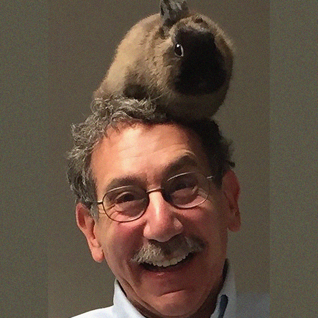 Andrew Lees With A Rabbit On His Head
