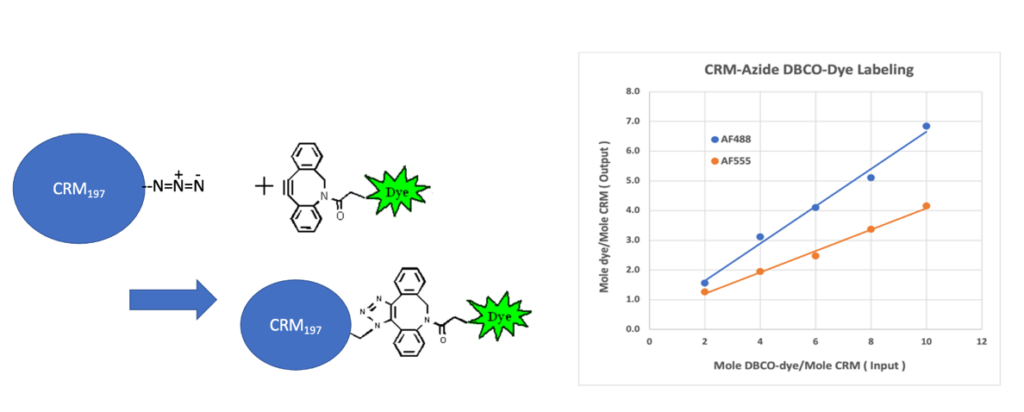 CRM-Azide